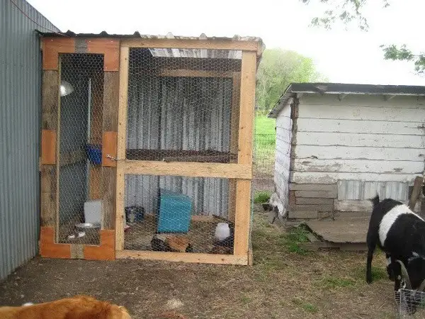 chicken coop house_29