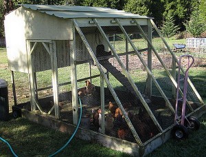 Chicken Coop Ideas - Designs And Layouts For Your Backyard Chickens