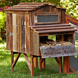 Chicken Coop Ideas - Designs And Layouts For Your Backyard Chickens