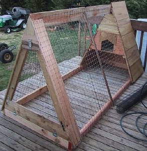 Chicken Coop Ideas - Designs And Layouts For Your Backyard Chickens