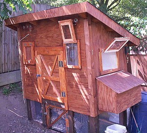 Chicken Coop Ideas - Designs And Layouts For Your Backyard Chickens