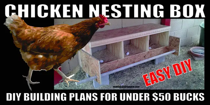 chicken nesting box diy plans dimensions