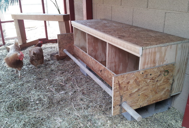 How To Build a Chicken Nesting Box | RemoveandReplace.com