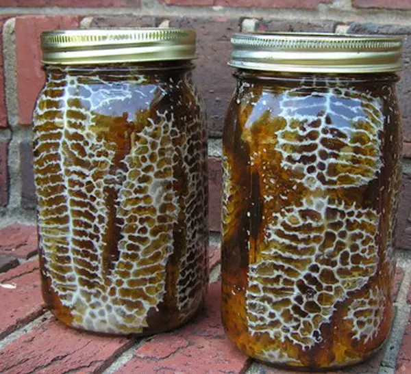 how to easily make a beehive in a jar diy_3