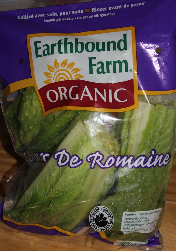 How To Easily Re Grow Romaine Lettuce From A Stump Indoors