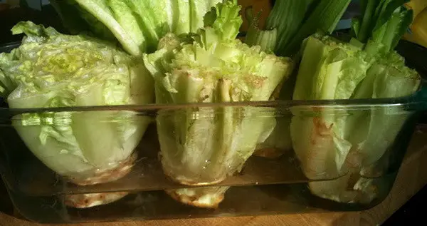 how to grow romaine lettuce from a stump_2