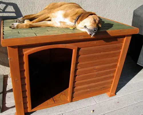 Creative Dog House Design Ideas 31 Pictures RemoveandReplace