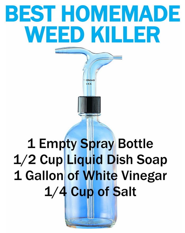 Best Homemade Weed Killer And Other Ways To Kill Weeds