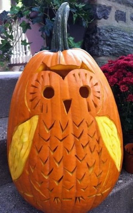 38 Halloween Pumpkin Carving Ideas & How To Carve | RemoveandReplace.com