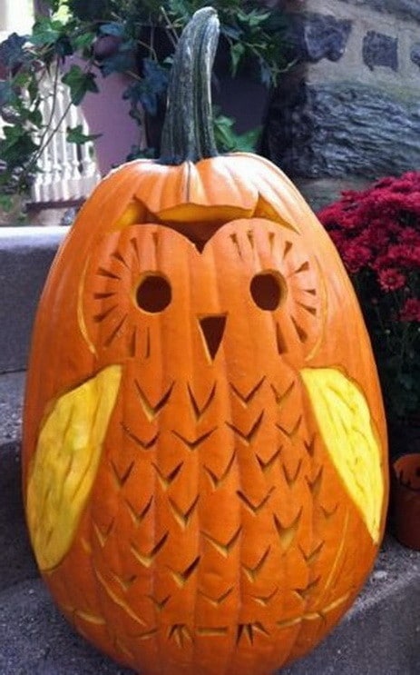 63 Halloween Pumpkin Carving Ideas To Inspire You
