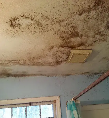 How To Fix And Prevent A Mold Problem In The Bathroom - What Causes Black Mould On Bathroom Ceiling Above Shower
