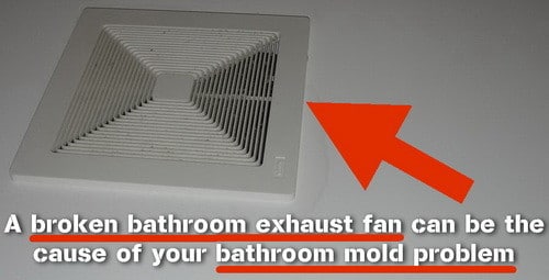 How To Fix And Prevent A Mold Problem In The Bathroom