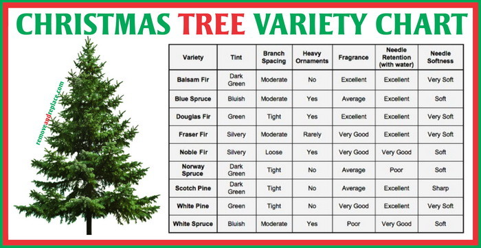 Christmas Chart Ideas