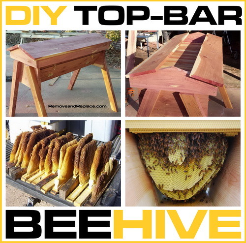 How To Build Your Own DIY Top Bar Beehive 