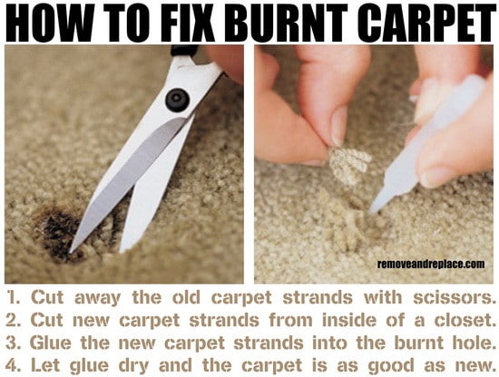 How To Repair A Burn Mark From Carpet The Easy Method