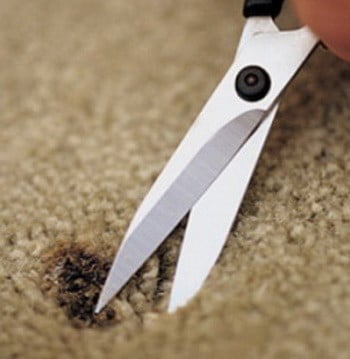 How To Repair A Burn Mark From Carpet The Easy Method