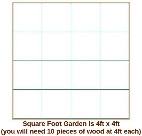 square foot garden layout