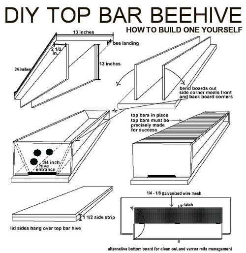 How To Build Your Own Diy Top Bar Beehive