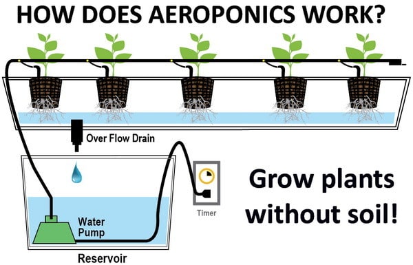 DIY Homemade Aeroponics System - Grow Plants Without Soil ...