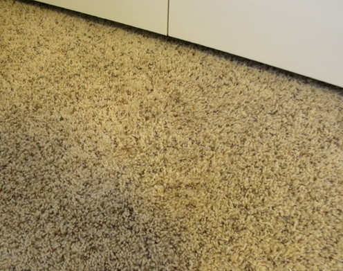 How To Fix A Carpet Burn Caused By An Iron - Easy DIY Repair