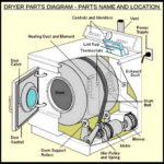 Dryer Makes Squeaking Noises - How To Fix