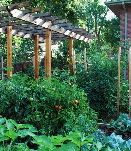 Garden Layout Ideas_15