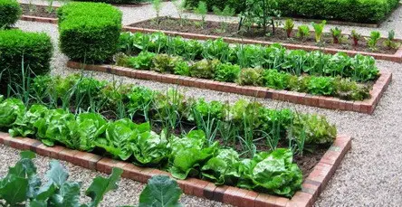 Garden Layout Ideas_24