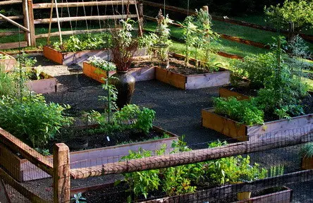 Garden Layout Ideas_48