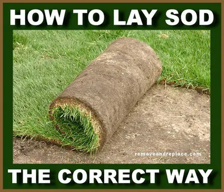 How-TO-Lay-Sod