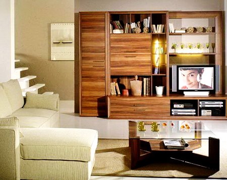 30 Living  Room  Storage  Ideas  RemoveandReplace com