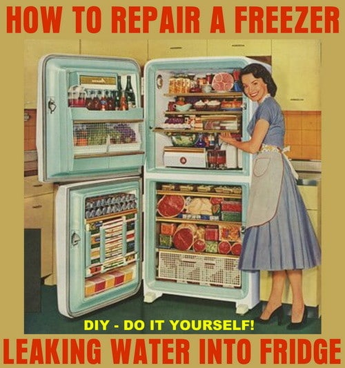 refrigerator freezing food and leaking water