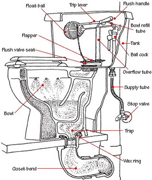 partially blocked toilet