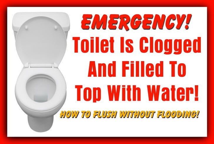 clogged toilet hack