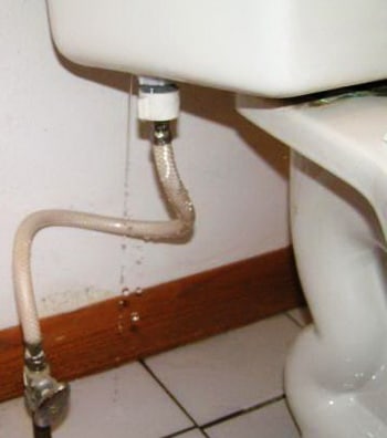 Toilet Leaking At Bottom Where Base Meets Floor What To Check How Fix - Bathroom Toilet Water Valve Leak Solution