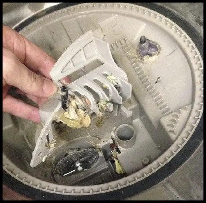Check inside sump assembly for food particles that may be causing the dishwasher to be noisy