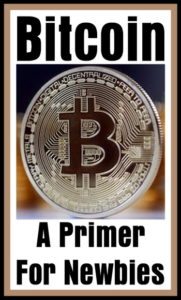 bitcoin primer pdf