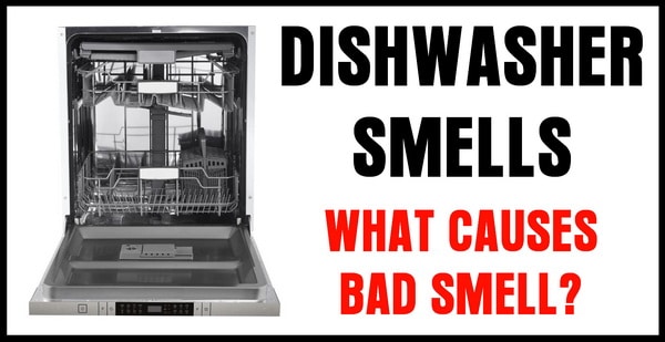 What Causes The Bad Smell In My Dishwasher