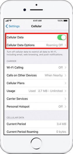 How to turn off cellular data on iphone