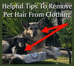 Pet hair removal