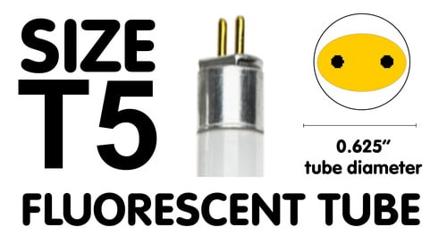 T5 Fluorescent Bulb