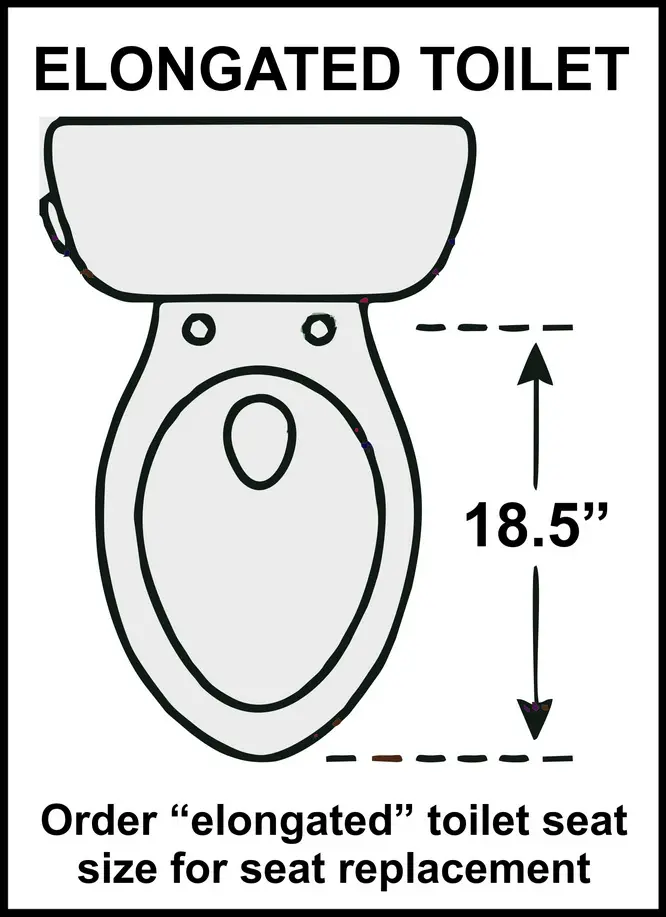 Toilet Seat Sizes And Replacement, Difference Between Round Or Elongated Toilet