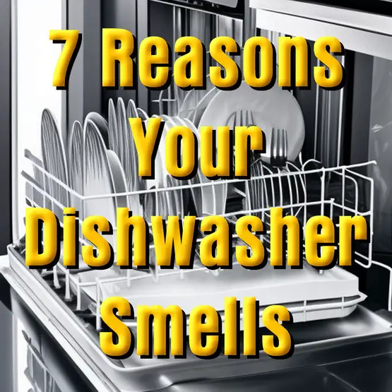 dishwasher smells