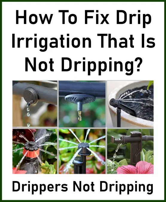 How to fix irrigation drippers not dripping?