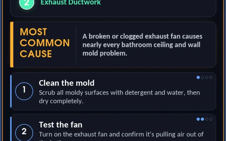 How To Fix And Prevent A Mold Problem In The Bathroom — step-by-step repair infographic